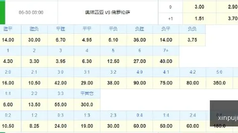 AI赋能甲骨文，背后保障机制新葡京：终极指南解析